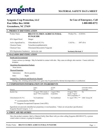Bravo Screenfun Pdf Download